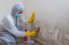 Why You Should Choose Our Mold Remediation Services in Girard, KS